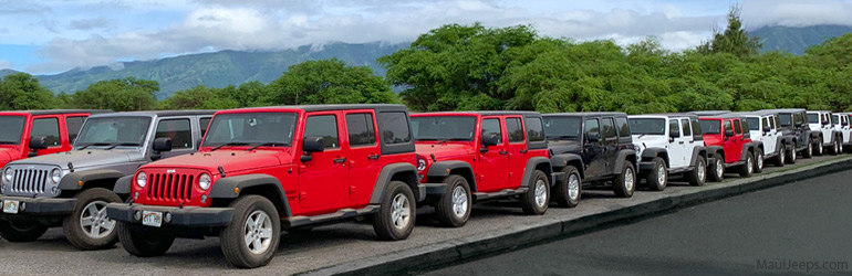 Jeep parked at the Maui Airport