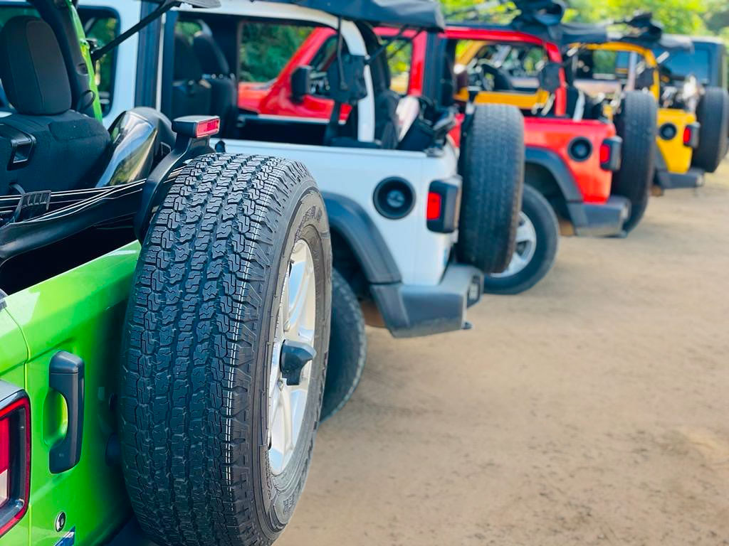Group of colorful Jeeps parked on Maui