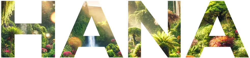 HANA graphic